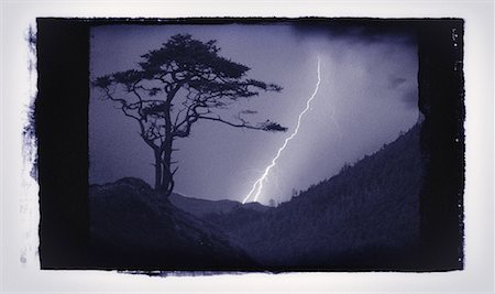 polaroid transfer - Silhouette of Tree with Lightning At Night, Vancouver Island, British Columbia, Canada Stock Photo - Premium Royalty-Free, Code: 600-00062615