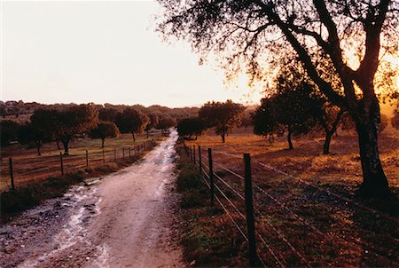 dirt road with sunset - Dirt Road through Field with Fence at Sunset, Portugal Stock Photo - Premium Royalty-Free, Code: 600-00062775