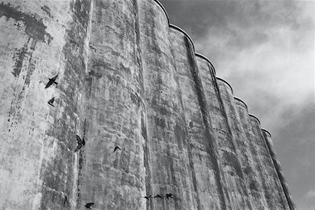 Birds Flying near Silos Stock Photo - Premium Royalty-Free, Code: 600-00063526