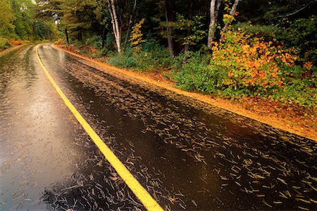 simsearch:600-00051270,k - Opeongo Lake Road and Trees in Autumn, Algonquin Provincial Park, Ontario, Canada Foto de stock - Sin royalties Premium, Código: 600-00076779