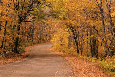 parc provincial algonquin - Route à travers les arbres à l'automne, le Parc Provincial Algonquin, Ontario, Canada Photographie de stock - Premium Libres de Droits, Code: 600-00076781