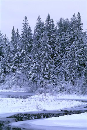 simsearch:600-00010812,k - Forest and Stream in Winter, Algonquin Provincial Park, Ontario, Canada Stock Photo - Premium Royalty-Free, Code: 600-00076795
