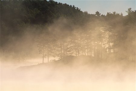 Trees and Fog, Haliburton, Ontario, Canada Stock Photo - Premium Royalty-Free, Code: 600-00070643