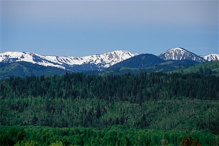 simsearch:700-00076891,k - Überblick über Landschaft, Bäume und Berge, Wyoming, USA Stockbilder - Premium RF Lizenzfrei, Bildnummer: 600-00071315