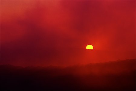 dawn red sky - Sunrise through Fog Stock Photo - Premium Royalty-Free, Code: 600-00071359
