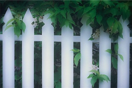 simsearch:600-00049419,k - Close-Up of White Picket Fence And Flowers, Kingston, Ontario, Canada Foto de stock - Sin royalties Premium, Código: 600-00072320