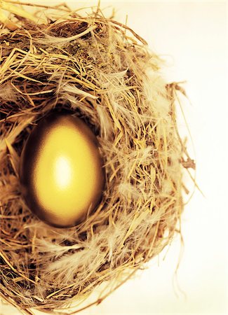 Golden Egg in Nest Photographie de stock - Premium Libres de Droits, Code: 600-00095137