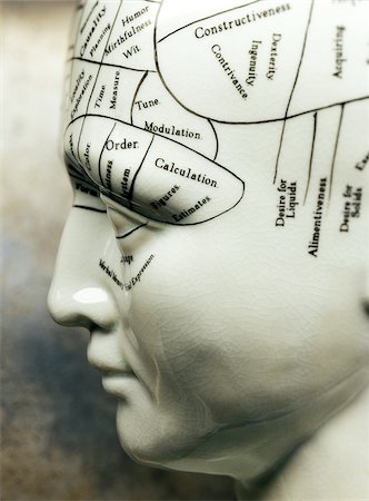 simsearch:600-00150354,k - Close-up of Phrenology Mannequin Photographie de stock - Premium Libres de Droits, Code: 600-00152981