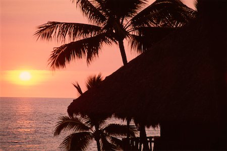 simsearch:600-00004817,k - Palmiers au coucher du soleil, Puerto Vallarta, Mexique Photographie de stock - Premium Libres de Droits, Code: 600-00174280