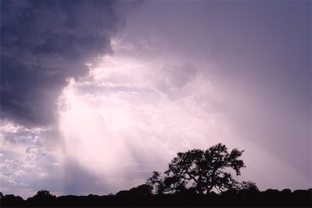 simsearch:600-00175353,k - Sunrays Through Storm Clouds, Texas, USA Foto de stock - Sin royalties Premium, Código: 600-00174411