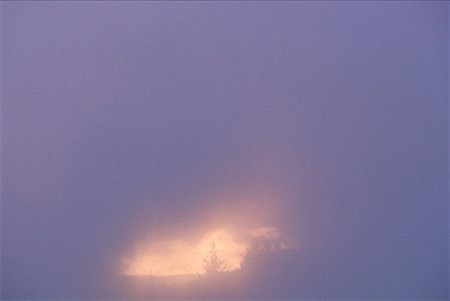 Sunrise Through Mist, Thermal Area, Taupo, North Island, New Zealand Fotografie stock - Premium Royalty-Free, Codice: 600-00174512