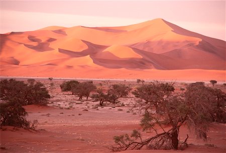 simsearch:600-00173320,k - Desert, Sossusvlei, Namibia Stock Photo - Premium Royalty-Free, Code: 600-00174882