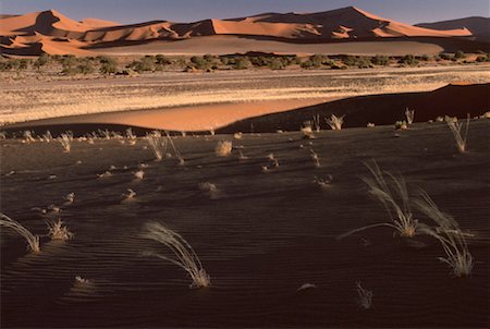 simsearch:600-00174882,k - Désert, Sossusvlei, Namibie Photographie de stock - Premium Libres de Droits, Code: 600-00174933