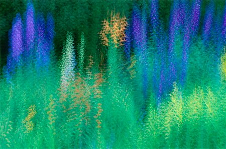 simsearch:600-02957663,k - Abstract of Perennial Garden, Shampers Bluff, New Brunswick, Canada Foto de stock - Sin royalties Premium, Código: 600-00175347