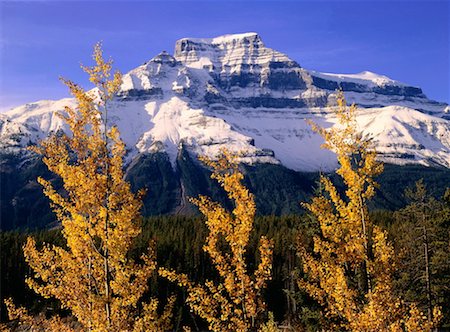 simsearch:600-00174533,k - Autumn Scenic, Jasper National Park, Alberta, Canada Foto de stock - Sin royalties Premium, Código: 600-00175800