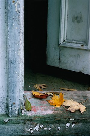 Leaves in Doorway, Shamper's Bluff, New Brunswick, Canada Stock Photo - Premium Royalty-Free, Code: 600-00175834