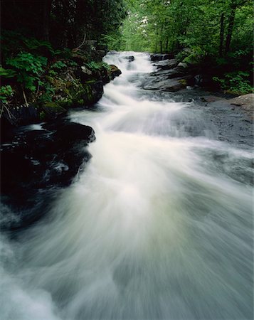 Rushing Stream, Haliburton, Ontario, Canada Stock Photo - Premium Royalty-Free, Code: 600-00175973