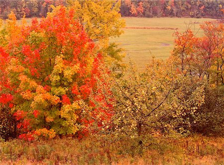 simsearch:600-00174502,k - Autumn Scenic, Margaree Valley, Nova Scotia, Canada Stock Photo - Premium Royalty-Free, Code: 600-00176287