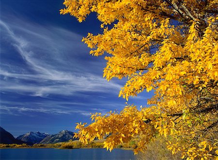 parque nacional waterton lakes - Autumn Scenic, Waterton National Park, Alberta, Canada Foto de stock - Sin royalties Premium, Código: 600-00176304