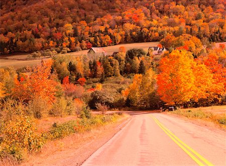 Rural Road in Autumn, Margaree Valley, Nova Scotia, Canada Stock Photo - Premium Royalty-Free, Code: 600-00176580