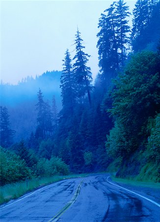 simsearch:600-00170909,k - Wet Forest Road, Oregon, USA Stock Photo - Premium Royalty-Free, Code: 600-00170951