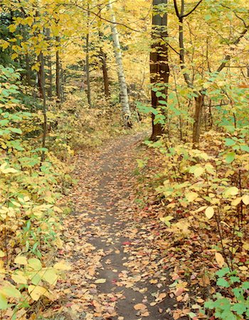 rouge river park - Rouge River Valley Park, Scarborough, Ontario, Kanada Stockbilder - Premium RF Lizenzfrei, Bildnummer: 600-00171071