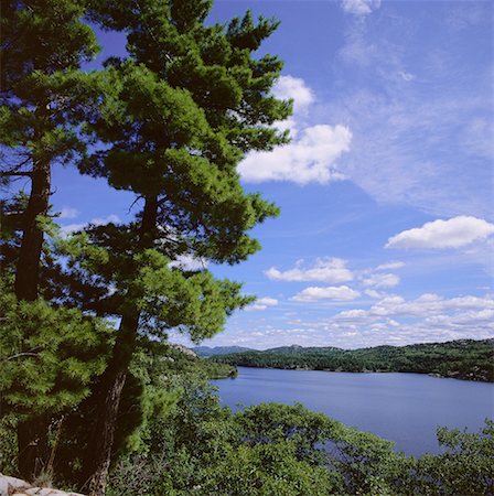 espanola island - Lake near Espanola, Northern Ontario, Canada Fotografie stock - Premium Royalty-Free, Codice: 600-00172230