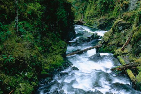 simsearch:600-00176285,k - River Below Soleduck Falls, Olympic National Park, Washington, USA Fotografie stock - Premium Royalty-Free, Codice: 600-00172485