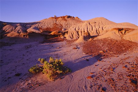 desert badlands - Dinosaur Provincial Park, Alberta, Canada Stock Photo - Premium Royalty-Free, Code: 600-00173795