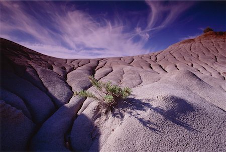 desert badlands - Dinosaur Provincial Park, Alberta, Canada Stock Photo - Premium Royalty-Free, Code: 600-00173799