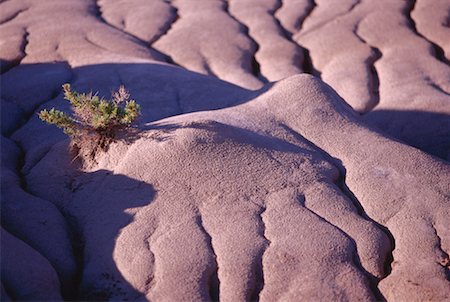 desert canada - Dinosaur Provincial Park, Alberta, Canada Stock Photo - Premium Royalty-Free, Code: 600-00173803