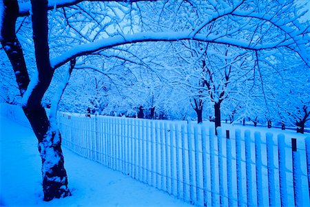 Snow Covered Trees and Fence, High Park, Toronto, Ontario, Canada Stock Photo - Premium Royalty-Free, Code: 600-00173975