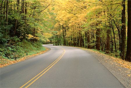 simsearch:600-00170954,k - Route à travers les arbres, grand parc nat. de montagnes Smoky, Tennessee, États-Unis Photographie de stock - Premium Libres de Droits, Code: 600-00173970