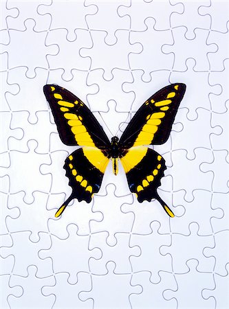 symmetrical animals - Butterfly and Puzzle Stock Photo - Premium Royalty-Free, Code: 600-00270101