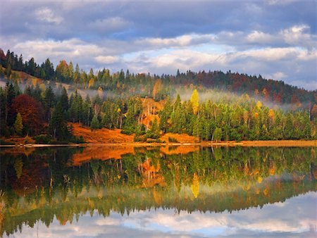 simsearch:600-00796012,k - Reflection of Trees in Lake Ferchensee, Bavaria, Germany Stock Photo - Premium Royalty-Free, Code: 600-00796021