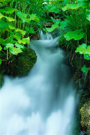 simsearch:879-09043607,k - Waterfall in Plitvice Lakes, Croatia Foto de stock - Sin royalties Premium, Código: 600-00846547