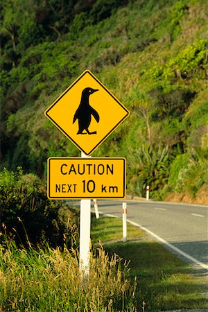 simsearch:879-09190002,k - Pingouin Crossing Sign, Parc National de Paparoa, South Island, Nouvelle-Zélande Photographie de stock - Premium Libres de Droits, Code: 600-00848192