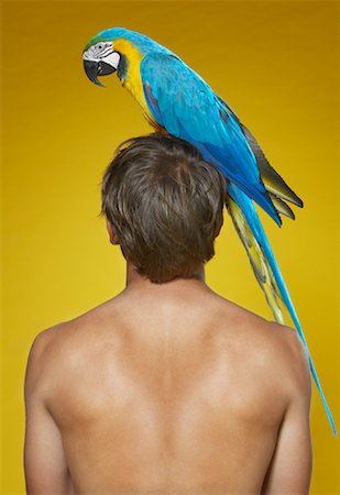 Portrait of Man with Parrot on Head Foto de stock - Sin royalties Premium, Código: 600-00848326