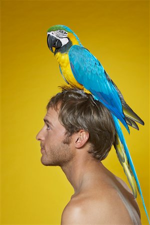 Portrait of Man with Parrot on Head Foto de stock - Sin royalties Premium, Código: 600-00848328