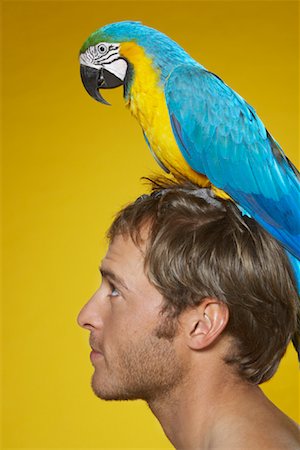 Portrait of Man with Parrot on Head Foto de stock - Sin royalties Premium, Código: 600-00848329
