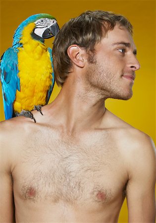Portrait of Man with Parrot Foto de stock - Sin royalties Premium, Código: 600-00848344