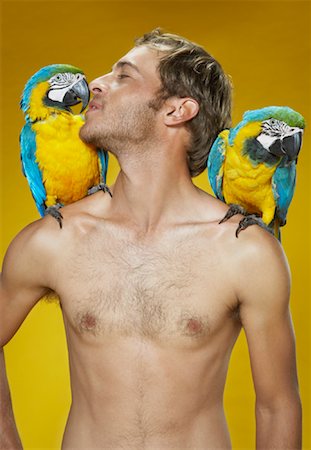 Portrait of Man with Parrots Foto de stock - Sin royalties Premium, Código: 600-00848341