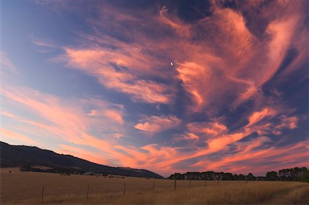 dramatic landscape in australia - Pasture at Sunset, Near Mansfield, Victoria, Australia Stock Photo - Premium Royalty-Free, Code: 600-00865377