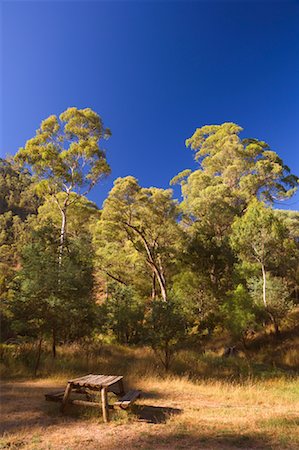 Picnic Table in Clearing, Howqua Hills Historic Area, Mansfield, Victoria, Australia Stock Photo - Premium Royalty-Free, Code: 600-00917916