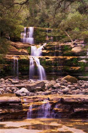 Waterfall, Liffey Falls, Liffey Falls Reserve, Tasmania, Australia Stock Photo - Premium Royalty-Free, Code: 600-00917925