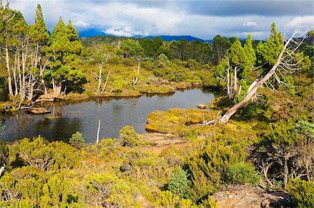 simsearch:600-00917929,k - Overview of Lake, Walls of Jerusalem National Park, Tasmania, Australia Foto de stock - Sin royalties Premium, Código: 600-00917928