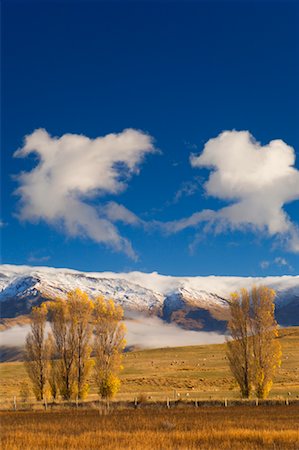 simsearch:600-00917950,k - Farmland and Dunstan Range, Manuherikia Valley, Otago, South Island, New Zealand Foto de stock - Sin royalties Premium, Código: 600-00917935