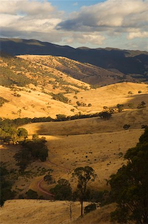 Thompson Valley, Cordillère australienne, Victoria, Australie Photographie de stock - Premium Libres de Droits, Code: 600-00917961
