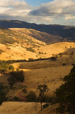 Thompson Valley, Great Dividing Range, Victoria, Australia Foto de stock - Sin royalties Premium, Código: 600-00917961