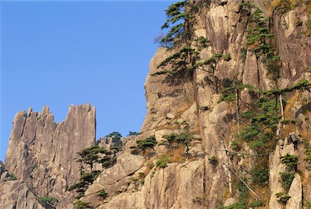 Huangshan Pine Growing Out Of Rock, Mount Huangshan, Anhui Province, China Fotografie stock - Premium Royalty-Free, Codice: 600-00911011